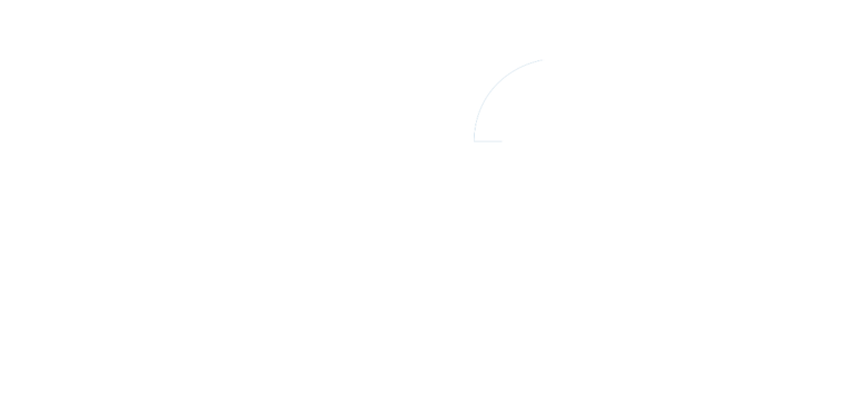 Vitesse 25 Years logo
