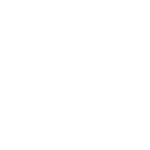 Top 100 Fleet Logo